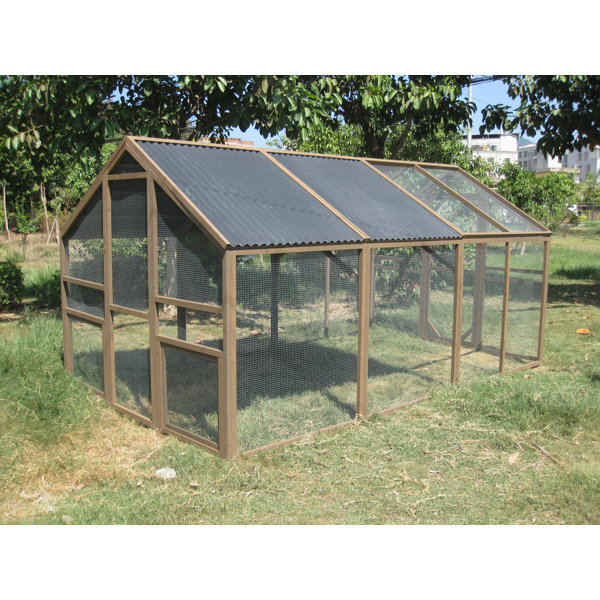 Coops & Feathers Walk In Chicken Coop with Chicken Run For Up To 30